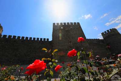 Mamure Kalesi (Anamur-Mersin) (Fotoğraf: Ahmet GÜLLÜ)